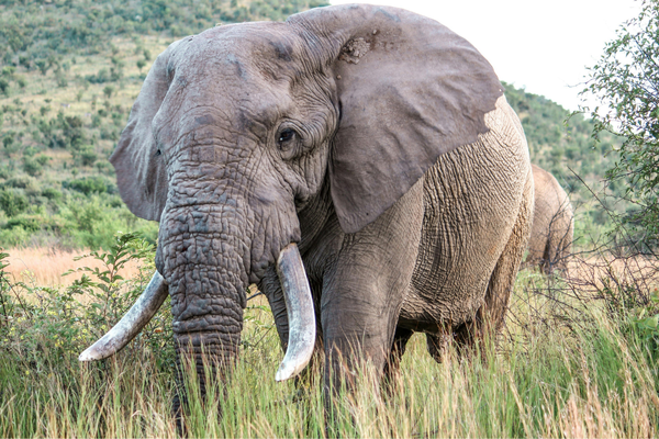 Sustainable Habitat Exploration