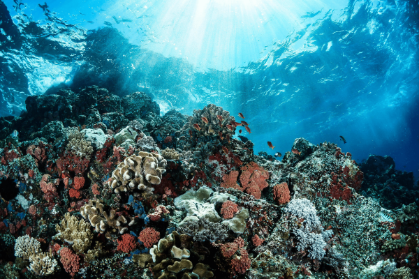 Science and Nature at Scale