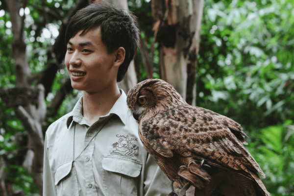 AI-Powered Wildlife Guides